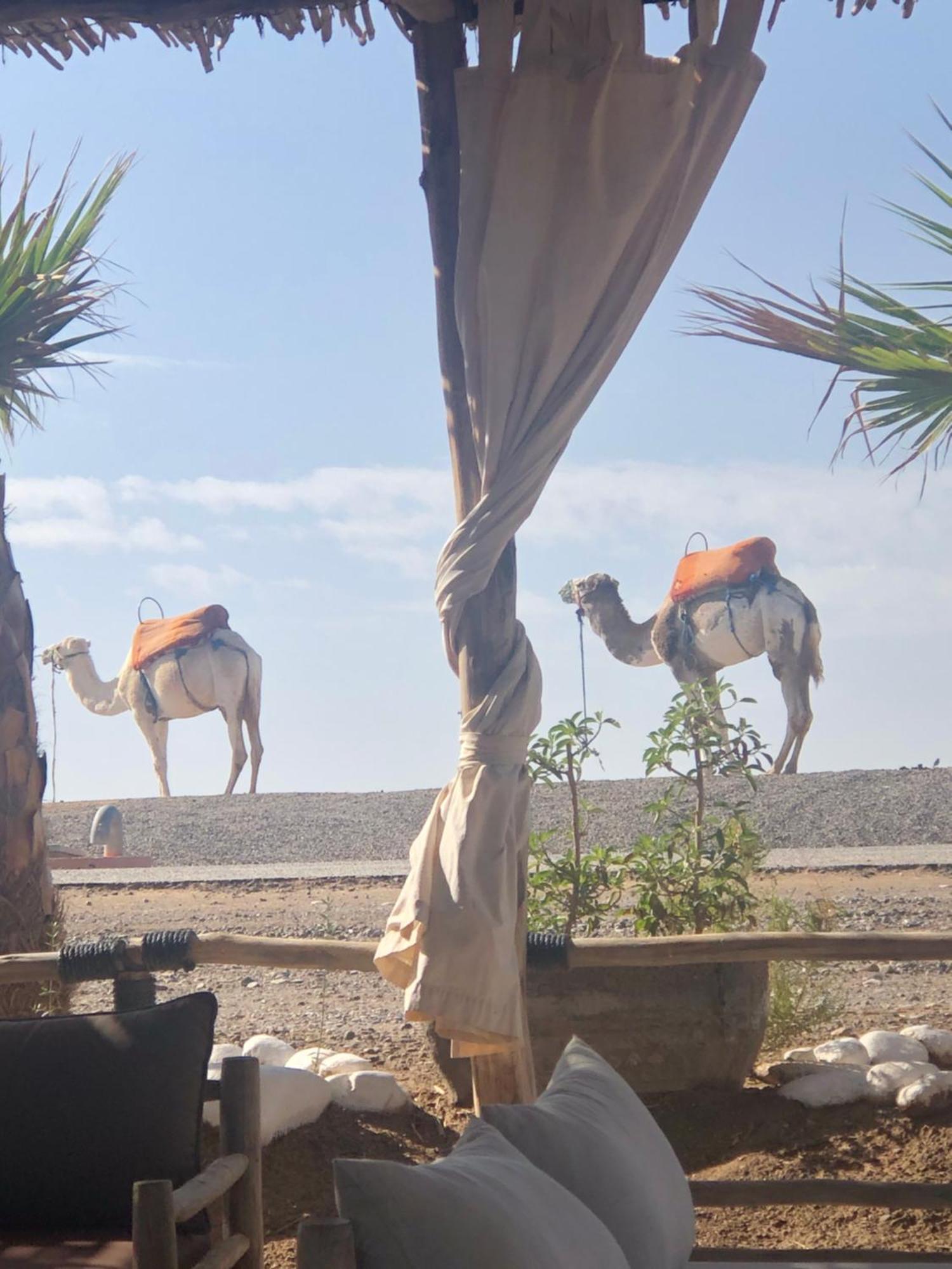 Riad Abbassia Marrakech Premiere Marrakesh Luaran gambar