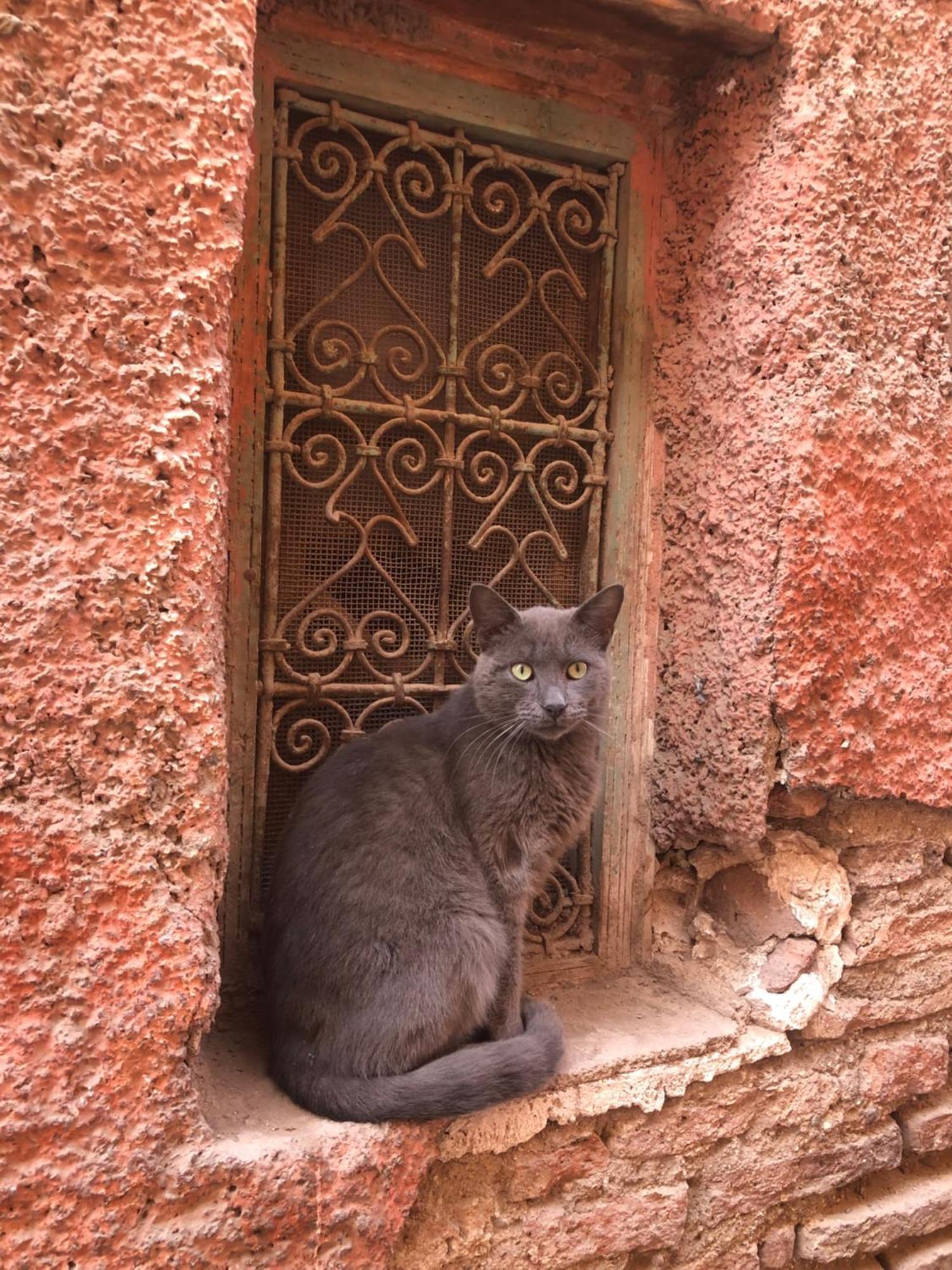 Riad Abbassia Marrakech Premiere Marrakesh Luaran gambar